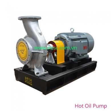 Hot Oil Pump