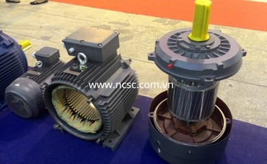 The Step Maintenance kinds of electric motors