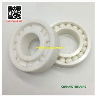 Ceramic Bearing